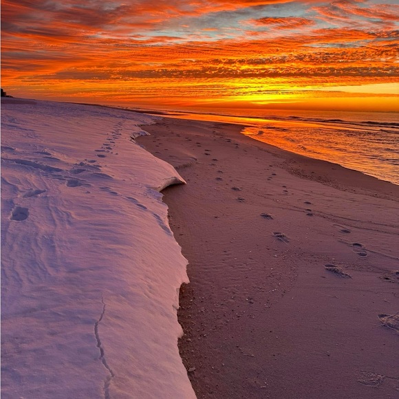 Meet your Posher, Ivanna - Picture 1 of 1